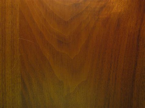 Free photo: Wooden Texture - Design, Painted, Texture - Free Download - Jooinn