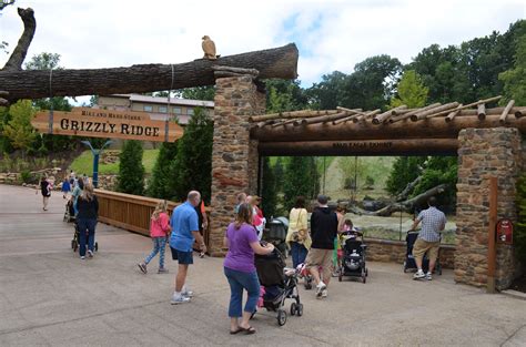 Mike And Mary Stark Grizzly Ridge Exhibit Now Open Akronzoo Akron