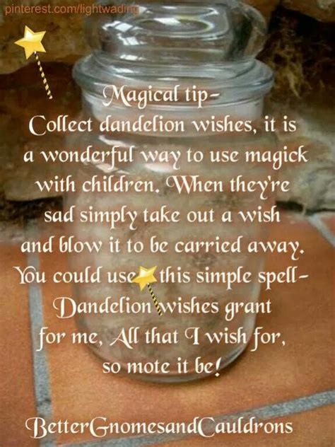 Dandelion Wishes Dandelion Wish Wish Spell Magic For Kids