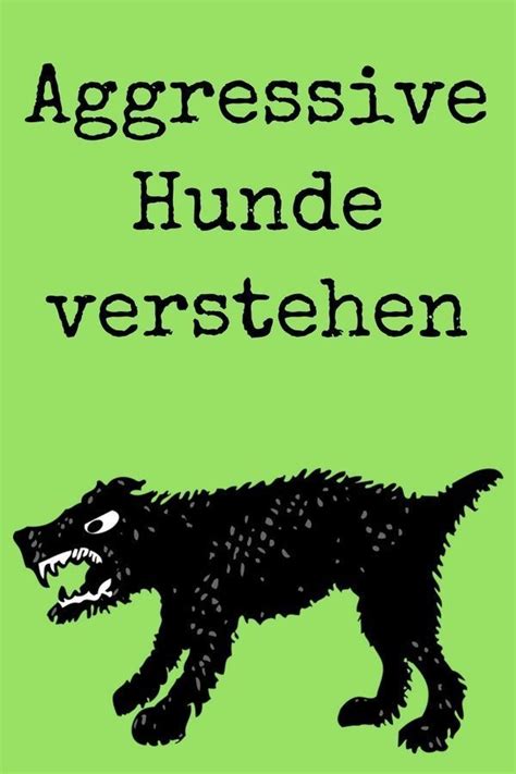 Oct 29, 2021 · dog's love gründerin katharina miklauz verrät praktische tipps & tricks, wie sie ihren hund im herbst unterstützen können. Wie ihr aggressives Verhalten eures Hundes „wegtrainiert ...