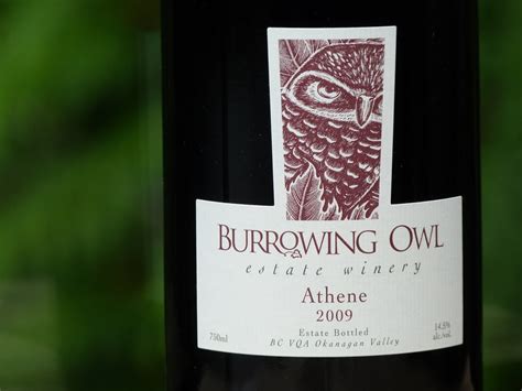 John Schreiner On Wine Burrowing Owls New Athene And Cabernet Franc Wines