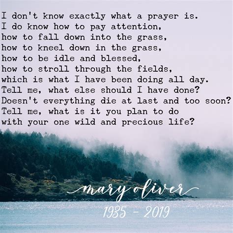 Mary Oliver Poems Kneeling Falling Down Prayers Words Movie