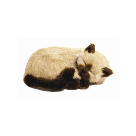Amazon reviews 2 минуты 13 секунд. Siamese Cat by Perfect Petzzz