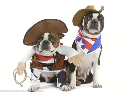 Adorable Costumes Given To Animals On Dress Up Your Pet Day Pet Day Pet Costumes Your Pet