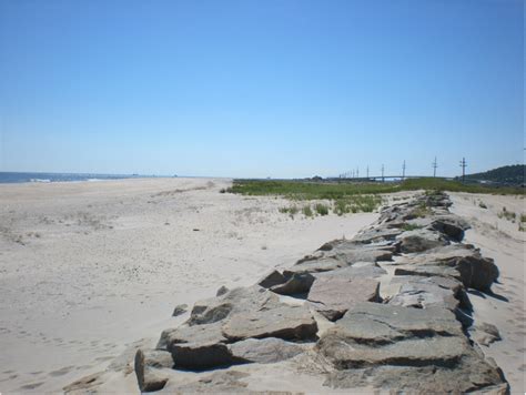 accretion of beach and dune at sandy hook new jersey following a large download scientific