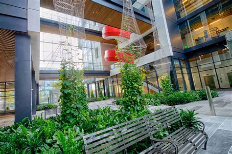 Webnet Creates Open Atrium For Boston Offices Green Walls