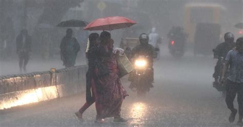 Schools Colleges In Chennai District To Be Closed On Thursday After