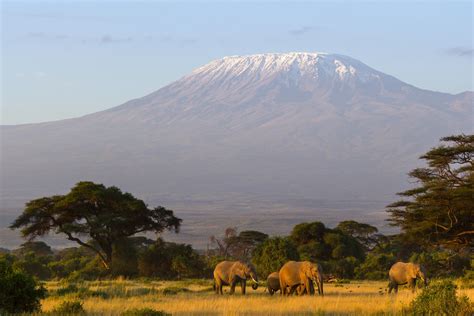Mount Kilimanjaro 4388x3999 Oc Ifttt2dgxucq Mount