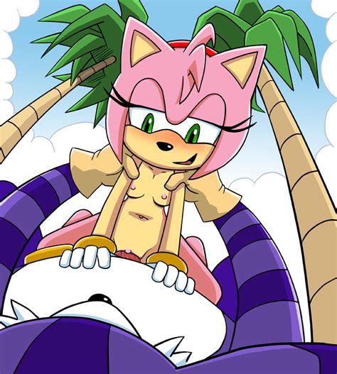 Rule 34 Amy Rose Anthro Big The Cat Blush Breasts Cat Color Female