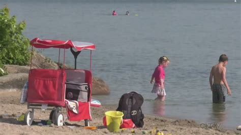 high bacteria levels found in the water of several local beaches ctv news