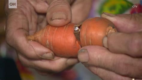 Woman Finds Lost Ring Wrapped Around Carrot Cnn Video