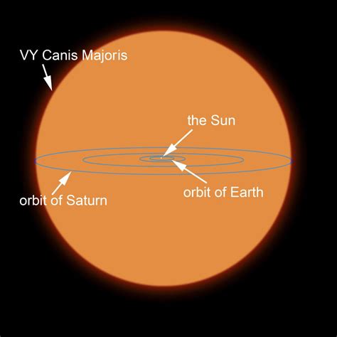 A Diagram Comparing The Sun To Vy Canis Majoris The Largest Known Star