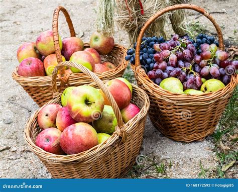 Baskets With Apples Pears And Grapes Baskets Fruit Stock Photo