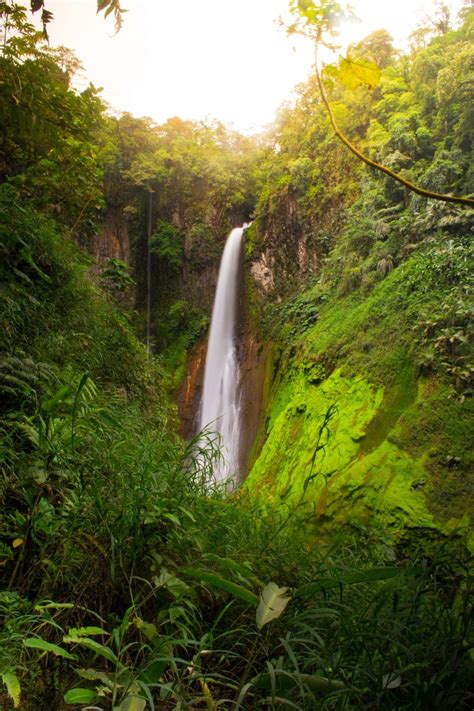 Catarata Del Toro Conquering Costa Ricas Highest Waterfall Every