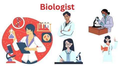 Biologist Definition Types And Work Area Research Method