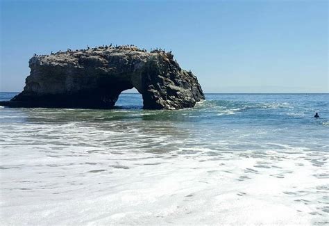 Natural Bridges State Beach Day Trip A Perfect Place For Families