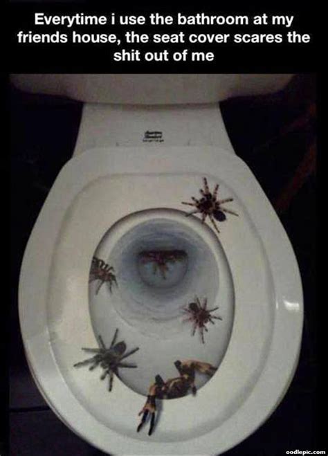 Creepy Spider Toilet 10 Of The Most Shared Funny Pictures Weird Nut