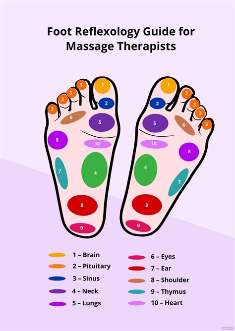 Massage Therapist Foot Reflexology Chart Illustrator Pdf