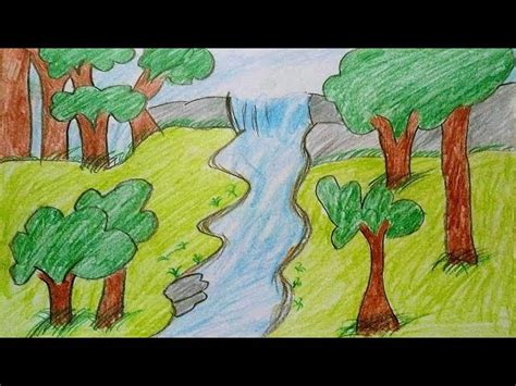 Tropical Rainforest Drawing With Color