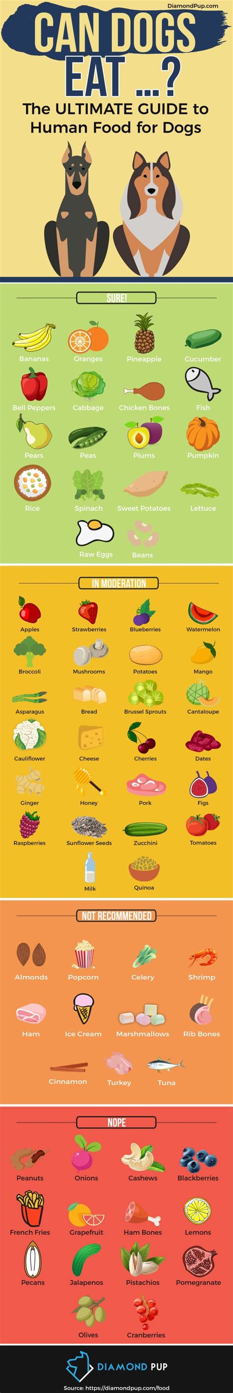 Dogs and humans digest and metabolize food differently, and a dog's digestive system cannot break down some of the foods people eat, dr. Human Foods You Can Feed Your Dog Infographic