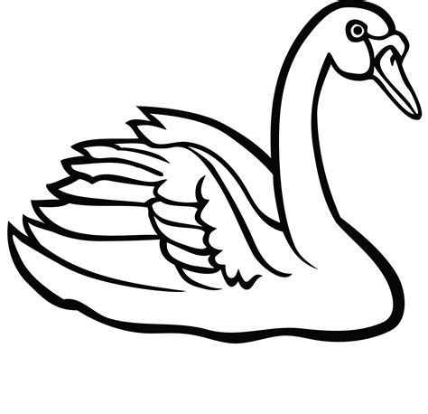 Swan Line Drawing At Getdrawings Free Download