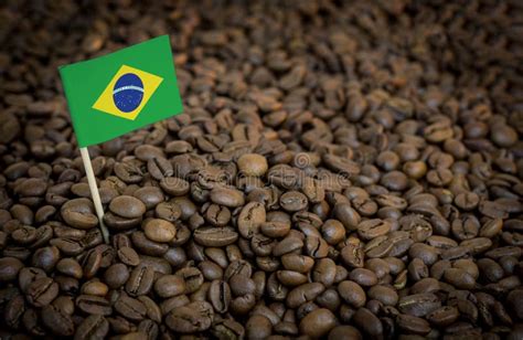 Brazil Flag Sticking In Roasted Coffee Beans Concept Of Export And