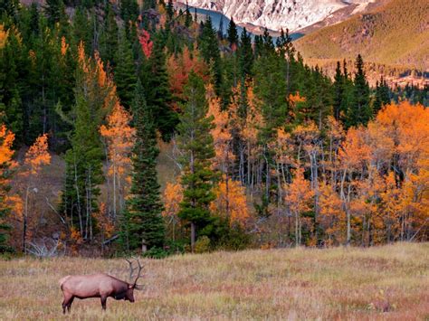 8 Best Things To Do In Colorado In Fall 2021 With Photos