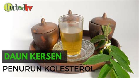 1.3 tujuan 1.3.1 tujuan umum untuk mengetahui pengaruh rebusan daun kersen terhadap kadar kolesterol pada usia dewasa di desa tampirkulon kecamatan candimulyo tahun 2020. Cara Paling Ampuh !! Untuk Menurunkan Kolesterol Tinggi ...
