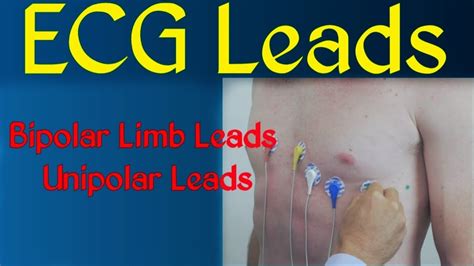 Ecg Leads Unipolar Bipolar Limb Leads Iiiiii Leads Augmented