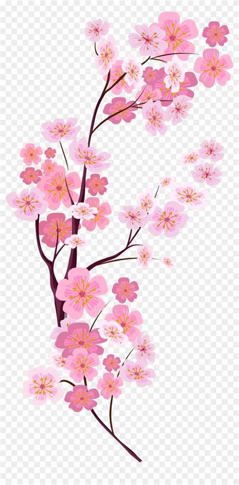 Cherry Blossom Branch Vector At Collection Of Cherry