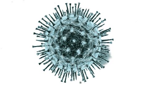 All png images can be used for personal use unless stated otherwise. Coronavirus PNG