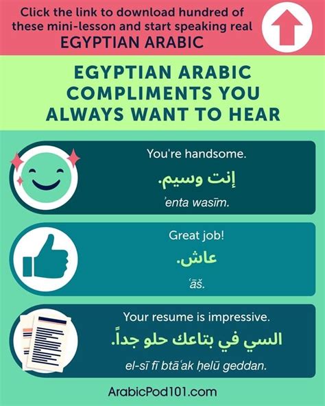 forty basic egyptian arabic phrases to sound local artofit