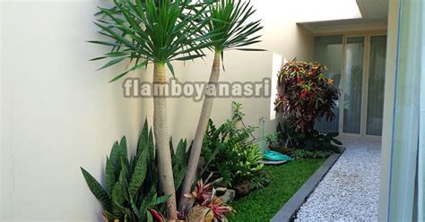 10 tanaman hias yang cocok untuk rumah minimalis 1. 10 Tanaman Hias Untuk Halaman Rumah Minimalis - TUKANG ...