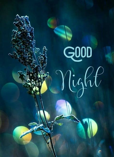 Good Night Friends Good Night Wishes Good Night Sweet Dreams Good
