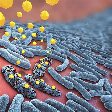 Antibiotics Destroying Bacteria Illustration Stock Image F0250656