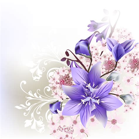 Floral Clear Background Blue Pink And Purple Cornflowers