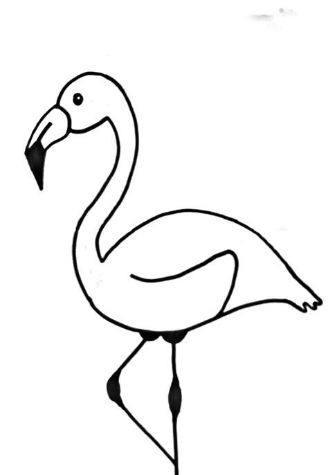 Flamingo Drawing Template Free Download On Clipartmag