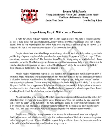 Narrative Essay Examples Of A Literary Essay