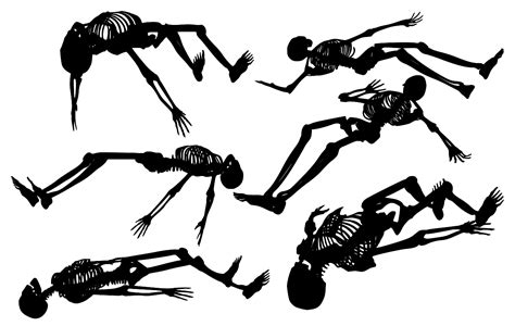 Svg Skeleton Skull Human Bones Free Svg Image And Icon Svg Silh