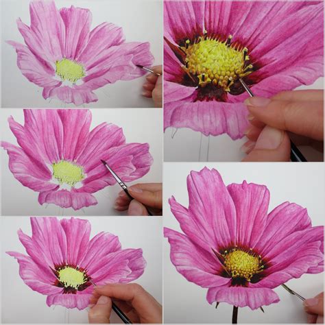 Actually there is another page on this site with photos of flowers, flower pics, but i found that i have so many beautiful flower pictures that i simply had to make one more page. Cosmos flowers come in different colors. This is pretty ...