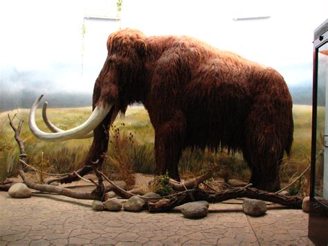 Bring Back The Mammoth Gas Station Without Pumps