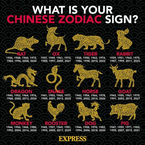 Chinese New Year What The Year Of The Tiger Means For Every Sign