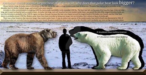 The Modern Polar Bear Is Significantly Larger Than The Extinct Short