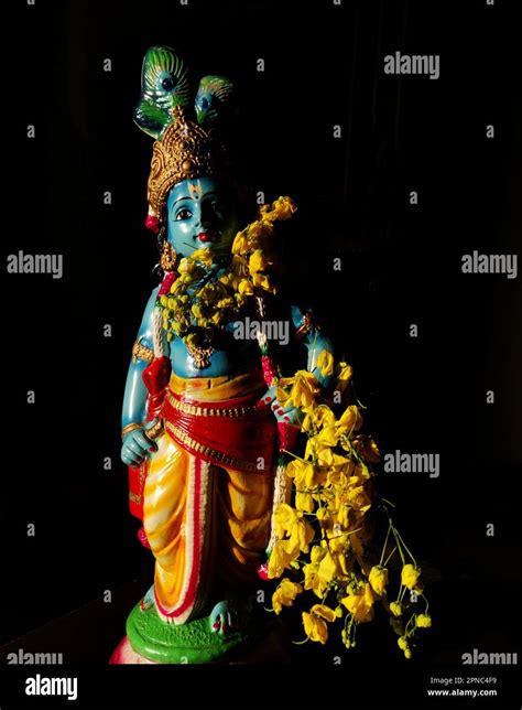 Blue Idol Of Lord Krishna Cassia Fistula Golden Shower Flowers Vishu Kani Vishu Festival