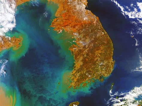 Korea In A Sea Of Phytoplankton 1 Edited Modis Aqua Image Flickr