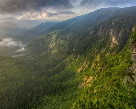 Wallpaper Mountains Forest Valley Mist Morning 1920x1200 Hd Picture