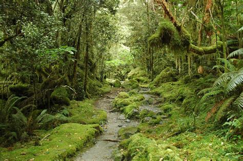 Best Travel Tips To New Zealand For Your First Trip