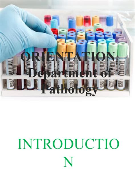 Finalised Integrated Pathology Orientation Slides Pdf