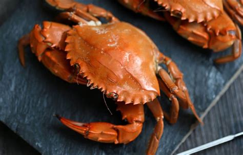 Le produit vedette le crabe commun
