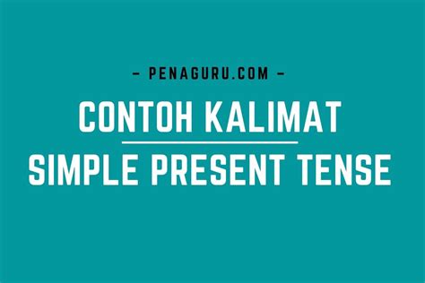 25 Contoh Kalimat Simple Present Tense Beserta Artinya